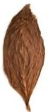 Natural Fronto Leaf