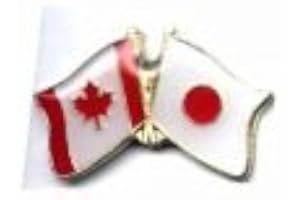 SUPERDAVES SUPERSTORE Japan / Canada Country Flag Small Friendship Lapel Pin Badge - Red, Metal, Pin-stem with safety