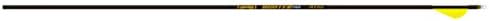 Gold Tip Hunter PRO Arrows with 2-Inch Raptor Vanes (1-Dozen)