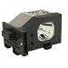 Electrified TY-LA1000 Replacement Lamp with Housing for Panasonic TVs primary