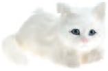 Fits American Girl or Any Similiar 18" Dolls. Doll Clothing Darling Little Pet White Kitty Cat, 6x3.5 Inch