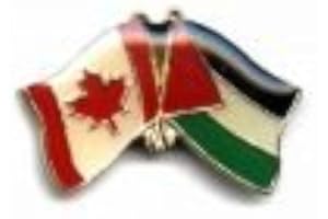 SUPERDAVES SUPERSTORE PALESTINE / CANADA COUNTRY FLAG FRIENDSHIP LAPEL PIN BADGE - BLUE AND GREEN - METAL - ENAMEL - CLASP AT