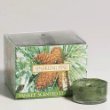 Sparkling Pine Yankee Candle Tea Lights 12 Count Box