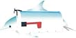 Dolphin Mail Box