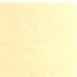 Holbein Artist's Watercolor 15ml Tube (Jaune Brillant No.1) W231