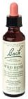 Wild Rose 20 ml (a)