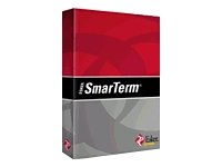 Esker Inc SMARTERM ENTERPRISE V12.1-250U ( 83072 )