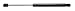 Strongarm 6122 Liftgate Lift Support, Pack of 1, black