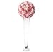 CYS Excel Pack of 6, 24 Inch Tall 4.5 inch Open Glass Trumpet Vase, Tapered Design Center Piece, Floral Display For Events & Weddings (Clear).