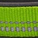 Blueberry Pet Adjustable Dog Collar, Soft & Safe, 3M Reflective, Neoprene Padded, Green Dog Collar, Dog Collars for Medium Dogs, Small Dog Collar, Eco-Friendly, Perfect for Pet Lovers & Owners