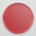 Culture Media, MacConkey Agar Prepared Plate Set of