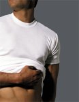 2(X)ist Men's 3 Pack Crew Tee