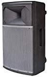 Wireless Bluetooth PA Speaker System - Portable Active Powered 1000W 2 Way Outdoor Amplifier Loudspeaker - 15" Subwoofer 1.75" Tweeter, USB SD RCA XLR Mic in - Dj Party On Stage - Pyle PPHP158BMA