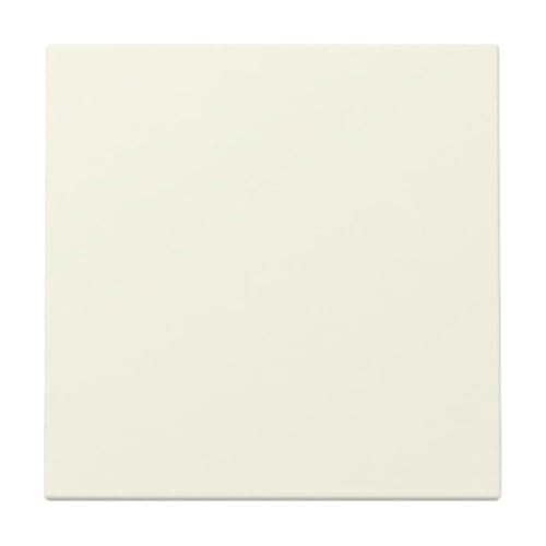Gira 329601 Rocker Switch Glossy Cream White en promo sur Amazon