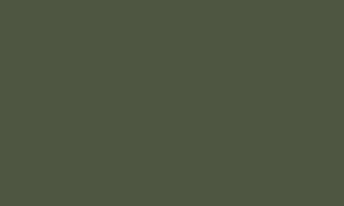 German Camo Dark Green Acrylic Paint Model Color 17ml Bottle Vallejo