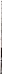 Penn Rampage Boat Rod