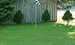 The Dirty Gardener Bentgrass Seed - 5 Pounds