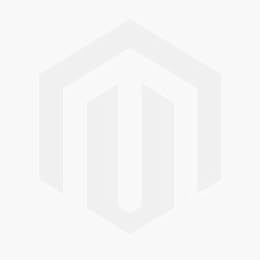 La  trace de l'aigle dans les cieux