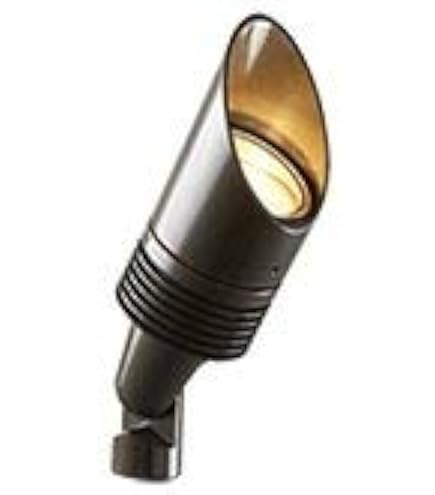 Amazon.com: FX Luminaire by Hunter 753900 - Super Slot Spike Stake