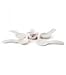 Joie 5 pc Measuring Spoons (white)
