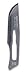Scalpel Blade #10 (5 Pack)