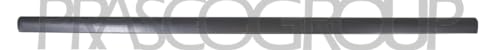 PRASCO Zier-/Schutzleiste, Tür VG0521414