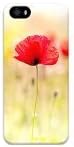 iPhone 5 Case, iPhone 5S Cases - Perfect Fit 3D Hard Case Cover for iPhone 5/5s Poppy Ultra Thin Hard Back Case Bumper for iPhone 5/5S