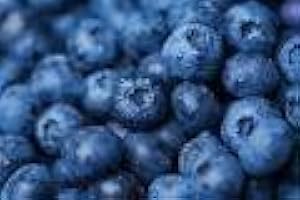 FRESH BLUEBERRIES AT THE NEIGHBORHOOD CORNER STORE BLUEBERRIES FRESH PRODUCE FRUIT VEGETABLES PINT 10 OZ