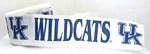 Kentucky Wildcats Logo 42' Party Streamers
