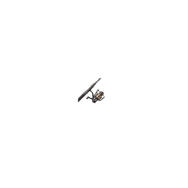 Abu-Garcia-Pro-Max-Spinning-Combo