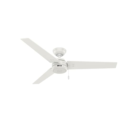Hunter Fan Cassius Indoor/Outdoor Ceiling Fan with Pull Chain Control, Metal, Fresh White Finish, 52 Inch