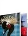 Self-stick Adhesive Foam Boards 32