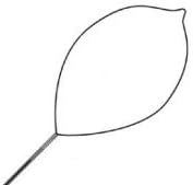 2336662 Snare Poly Oval Singular 2.3mm Large 10 Per Case sold as Case Pt# 977 by Conmed Corporation