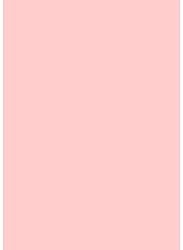 Pastel Pink A4 Coloured Craft Card 160gsm x 200 Sheets