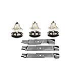 Raisman 46" Lawn Mower Deck Rebuild Kit Includes 618-0660 Spindles and 742-04125 Blades Fits LT1045 LT1046
