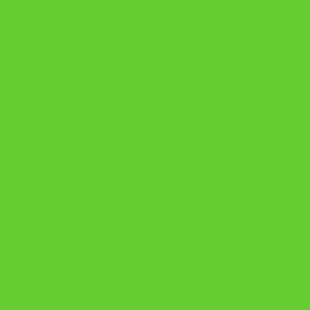 plottiX Perm. Vinyl Film 31.5 cm x 1 m Light Green
