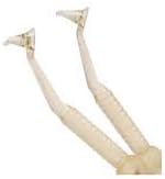 Instruments for composite Contact Gold Contact Points – TdV Code: 4404202