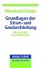 Grundlagen der Strom- und Gasdurchleitung: Die aktuellen Rechtsprobleme