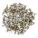 Mini Parisienne Round Head Clips in Assorted Colours for Scrapbooking - 200 Pieces