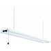 Lithonia Lighting 1245 SHOPLIGHTH2:H183 2-Light Fluorescent Shop Light, Polished Silver