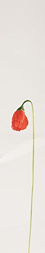 Kenzo Flower By Kenzo For Women. Eau De Parfum Spray 3.3 Ounces