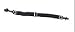 Eyeglass Cord, Elastic Adjustable Strap, Black