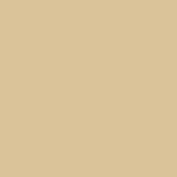Vallejo Acrylic Primer Desert Sand Fast-Drying 60 ml for Modeling Miniatures view 3