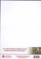 10x Large Greetings Card Blanks and C5 envelopes - Recycled Paper