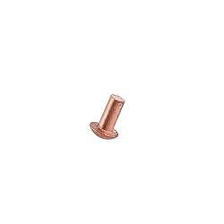 Aicosineg 200pcs 0.20" Length Copper Solid Rivets