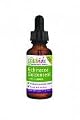 Gaia Herbs GaiaKids Echinacea Goldenseal Herbal Drops -- 1 fl oz