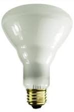 OSI 65BR30/FL 130V [13129] Dimmable Indoor/Outdoor Incandescent (Pack of 24)