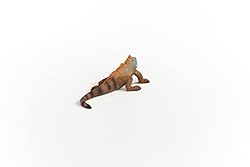 Schleich Wild Life Animal Toy for Boys and Girls