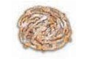 J AND J SNACK FOODS J and J Snack Cake Factory Funnel Cake -- 5 inch, 48 per case.