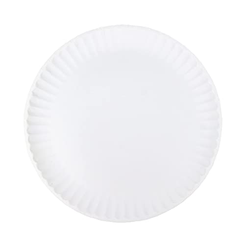 PARTY BARGAINS 9 Inch Uncoated White Paper Plates (300 Count